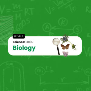 Biology Grade 11, University Preparation